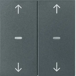 Berker Abdeckung f. Tastensen.-Modul 2fach S.1/B.x anthr. 80961385