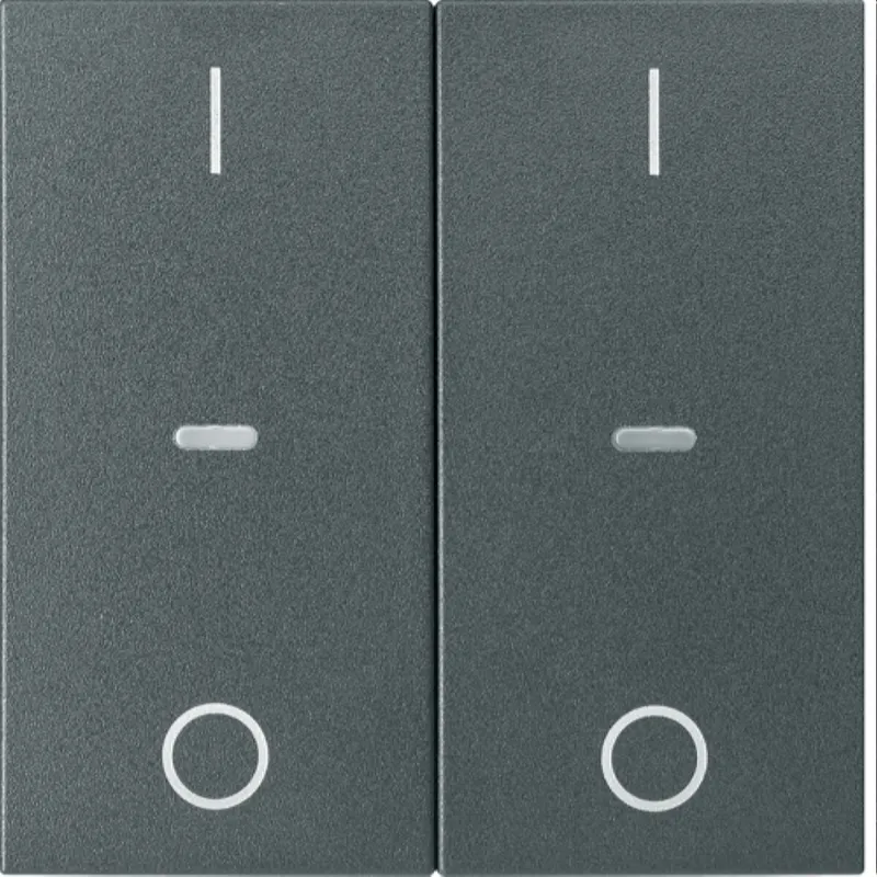 Berker Abdeckung f. Tastensen.-Modul 2fach S.1/B.x anthra 80962385