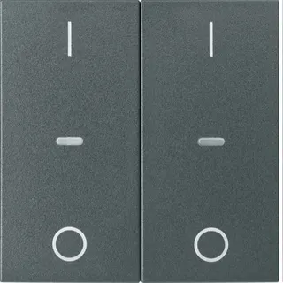 Berker Abdeckung f. Tastensen.-Modul 2fach S.1/B.x anthra 80962385