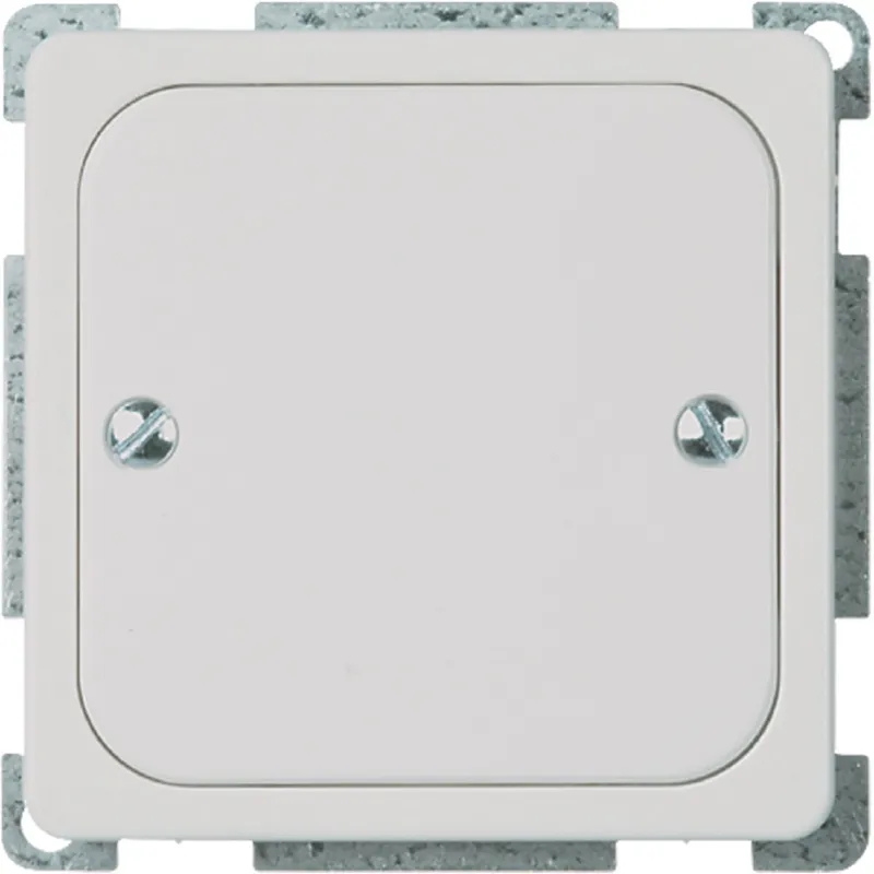 ELSO Blindabdeckung 503054 geschraubt 1f. RENOVIERUNG rw