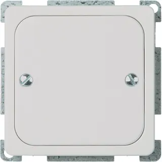 ELSO Blindabdeckung 503054 geschraubt 1f. RENOVIERUNG rw