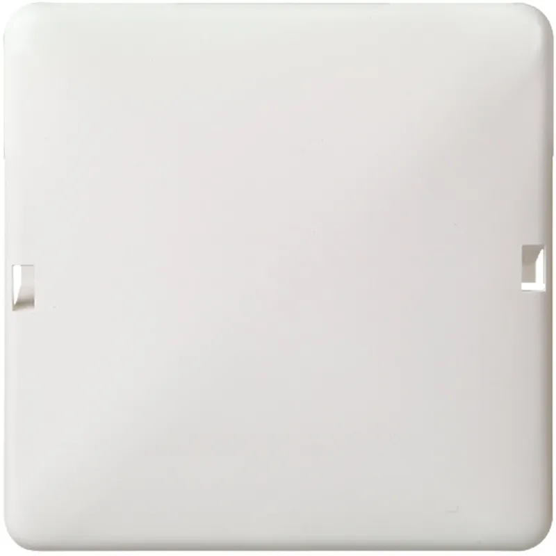 ELSO Blindabdeckung 503034 2f. 80x122 RENOVIERUNG reinweiß