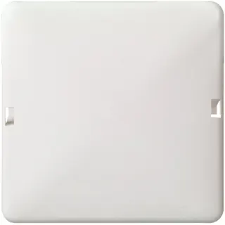 ELSO Blindabdeckung 503034 2f. 80x122 RENOVIERUNG reinweiß