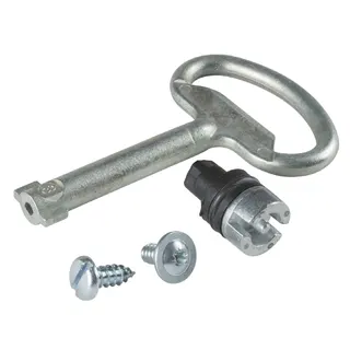 Schneider Electric Doppelbartschlosseinsatz 3mm (Standard) Material: Zamak. NSYTDBCRN