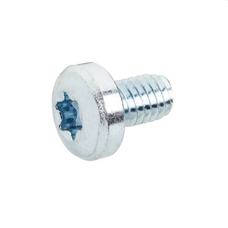 ABB Striebel & John Linsenschraube RZ12P20 M6x10 Torx T30 2CPX046000R9999