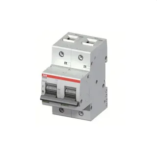 ABB Stotz-Kontakt Hochleistungssicherungsautomat S802B-D32 32A 2polig 2CCS812001R0321
