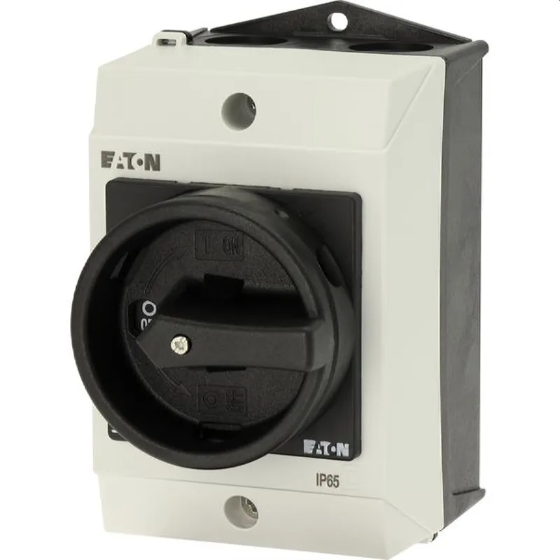 Eaton Electric Hauptschalter T0-2-113/I1/SVB-SW Aufbau