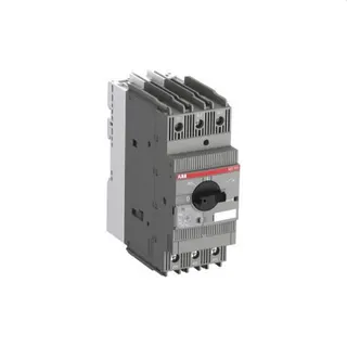 ABB Stotz-Kontakt Motorschutzschalter MS165-42 30-42a 1SAM451000R1015