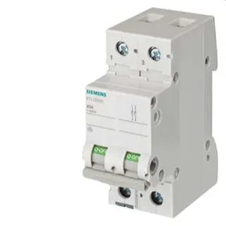 Siemens Ausschalter 80A 2polig 5TL1280-0