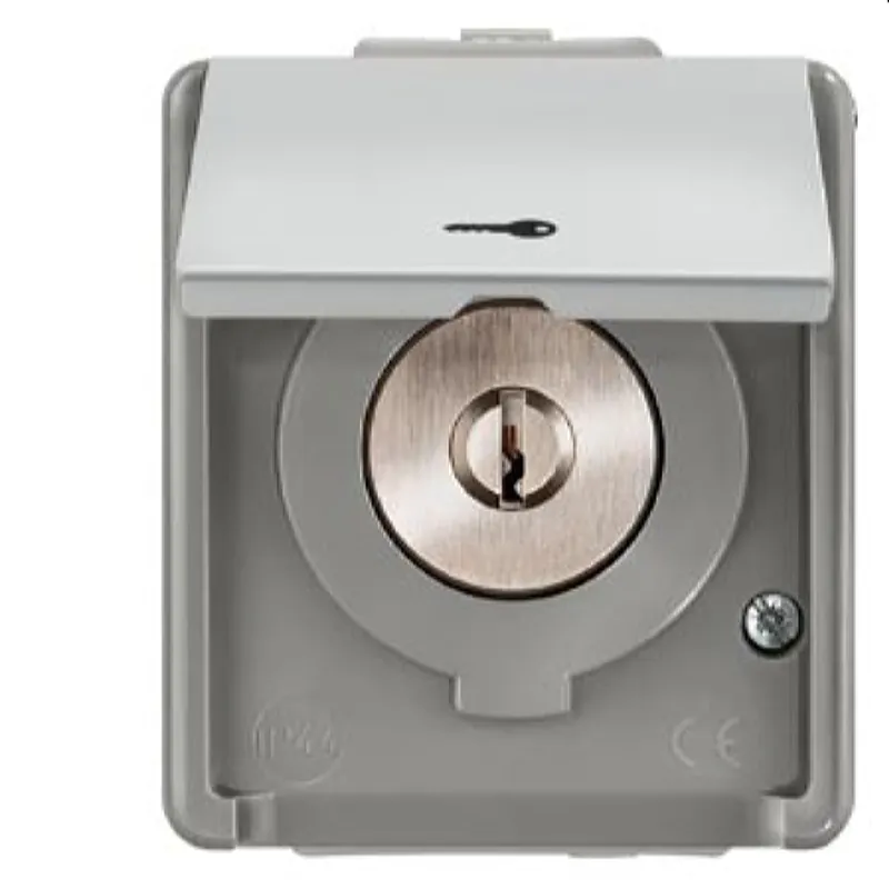 Siemens AP-Jalousieschlüsselschalter 1polig 16A 250V 5TA7651