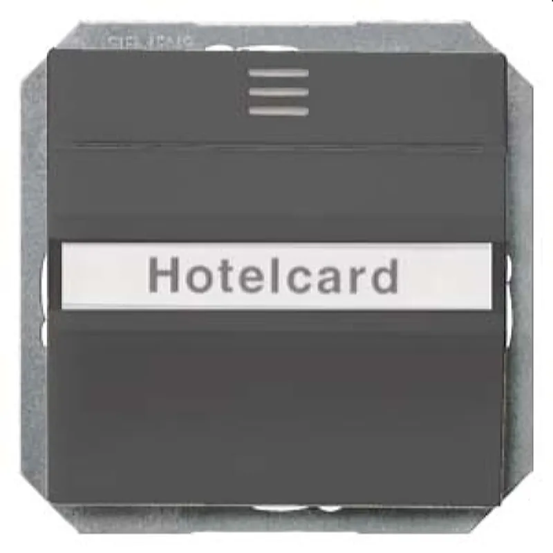 Siemens Hotelcard-Schalter carbon-metallic 5TG4822