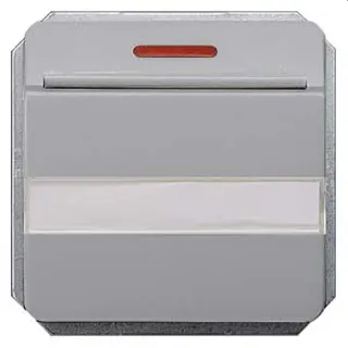 Siemens Hotelcard-Schalter silber 1W 5TG4814