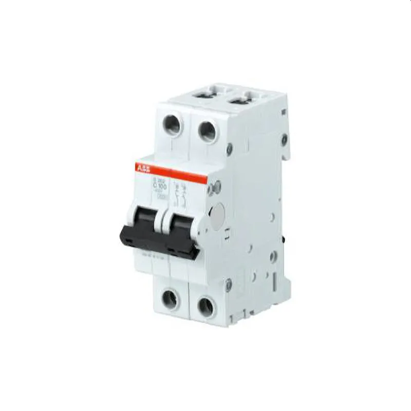 ABB Stotz-Kontakt Leitungsschutzschalter S202-B80 B80A 2polig 6kA 2CDS252001R0805