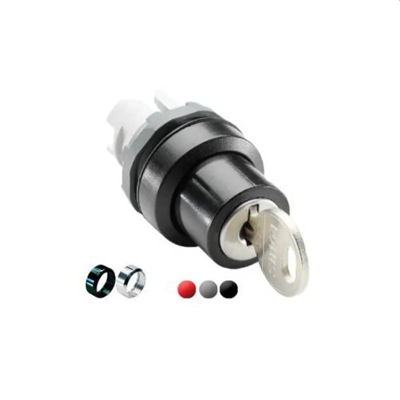 ABB Stotz-Kontakt Schlüsselschalter M3SSK3-303 1SFA611285R3003