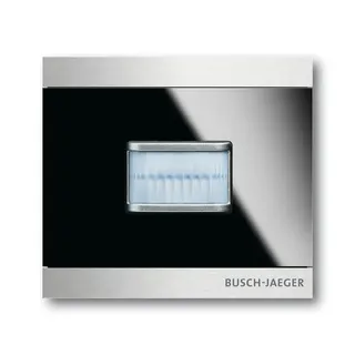 Busch-Jaeger 6345-825-101 180 UP Wächter, Bewegungsmelder