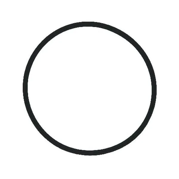SYR O-Ring Filtertasse für Drufi+