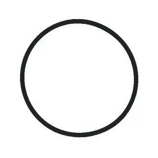 SYR O-Ring Filtertasse für Drufi+