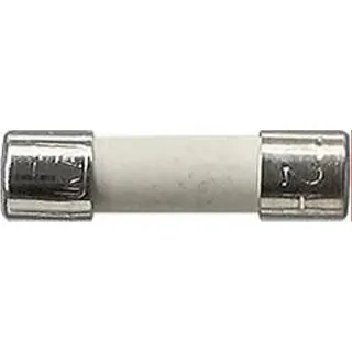 Gira Sicherung 049806 T 2H 250V