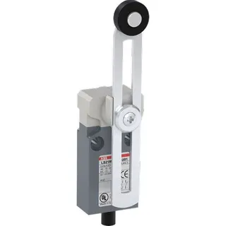ABB Stotz-Kontakt Kompakt-Positionsschalter LS21M51B11-U01 IP67 1SBV015651R2601
