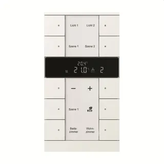 Busch-Jaeger Raumtemperaturregler SBS/U10.0.11-884 HVAC-Slave 10fach