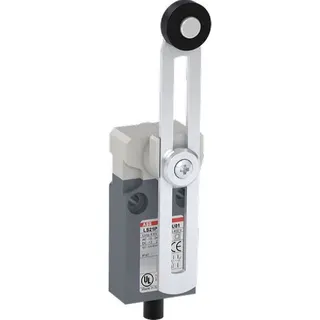 ABB Stotz-Kontakt Kompakt-Positionsschalter LS21P51B11-U01 grau IP67 1SBV016051R3801