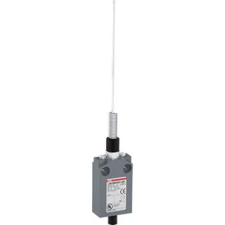 ABB Stotz-Kontakt Kompakt-Positionsschalter LS21M91B11-U01 IP67 1SBV015691R2601