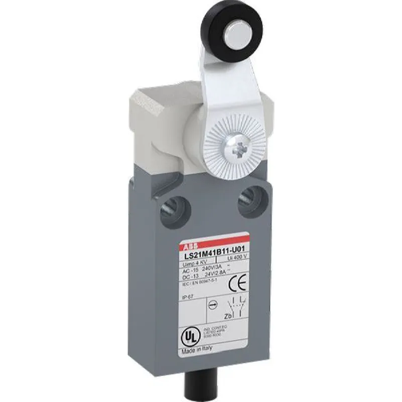 ABB Stotz-Kontakt Kompakt-Positionsschalter LS21M41B11-U01 IP67 1SBV015641R2601