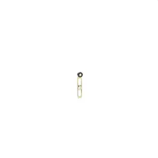 Schneider Electric Schwenkhebel ZCKY41 K