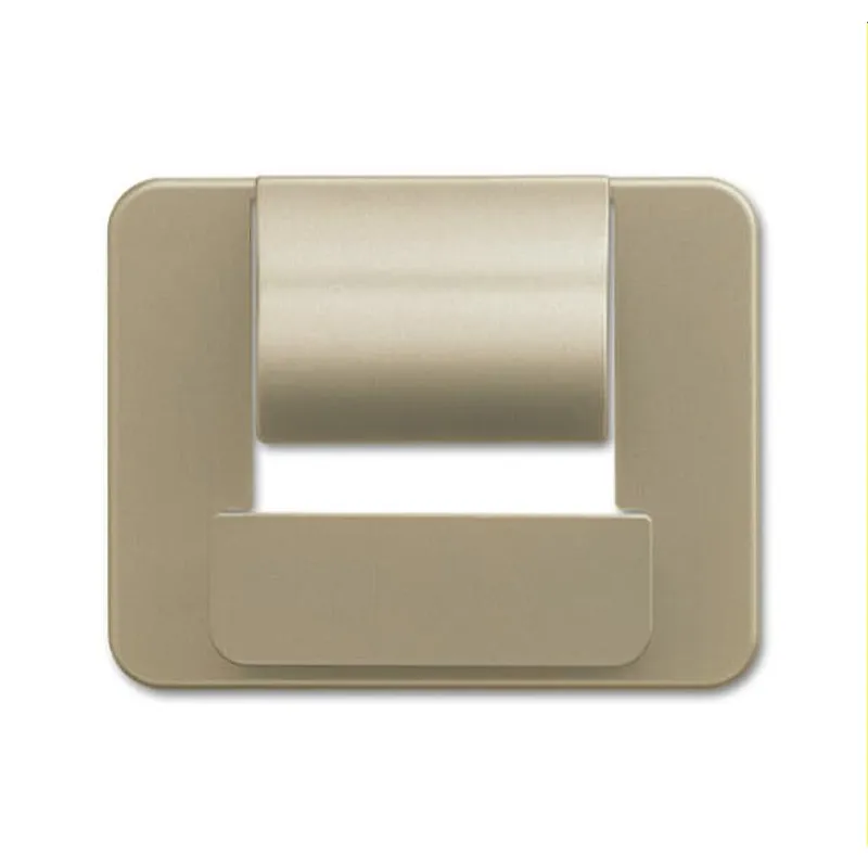 Busch-Jaeger Zentralscheibe 6477-260 für powerDock palladium