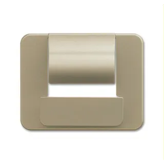Busch-Jaeger Zentralscheibe 6477-260 für powerDock palladium
