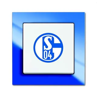 Busch-Jaeger Schalter 2000/6 UJ/02 FC Schalke 04