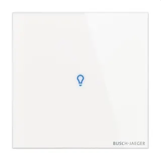 Busch-Jaeger Bedienelement TB/U1-CG 1f.