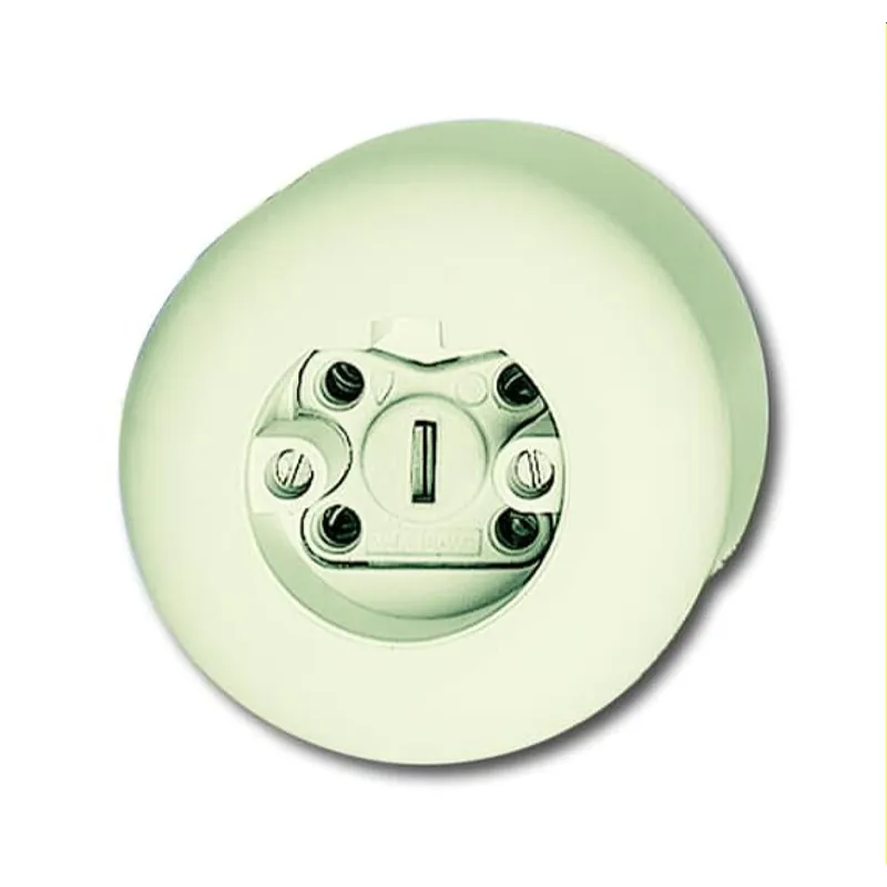 Busch-Jaeger Stecker 2365 JW weiß RAL 1013