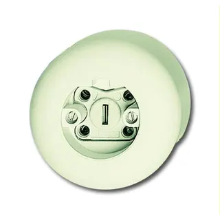 Busch-Jaeger Stecker 2365 JW weiß RAL 1013