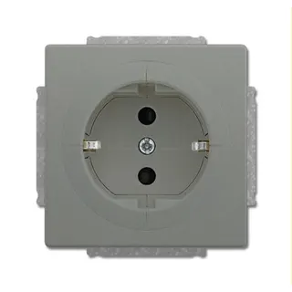 Busch-Jaeger Steckdose 20 EUAB-803 graumetallisch