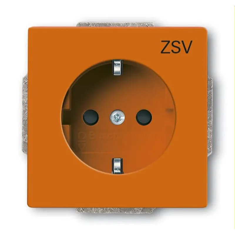 Busch-Jaeger SCHUKO-Steckdoseneinsatz 20 EUCB-14-82-10 or ZVS or RAL2004