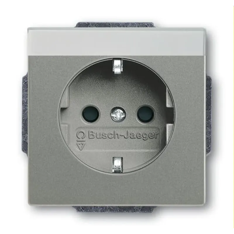 Busch-Jaeger SCHUKO-Steckdoseneinsatz 20 EUCNB-803 graumetallisch