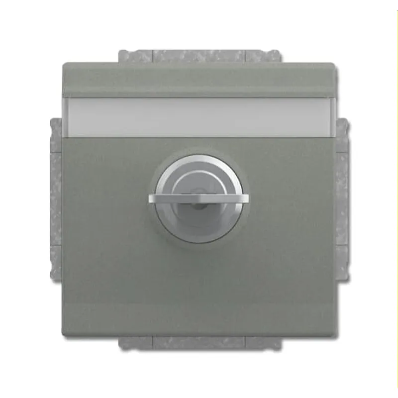 Busch-Jaeger Steckdoseneinsatz 20 EUKNBSL-803 graumetallisch