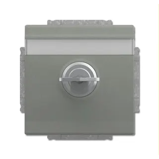 Busch-Jaeger Steckdoseneinsatz 20 EUKNBSL-803 graumetallisch