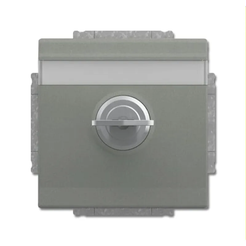 Busch-Jaeger Steckdoseneinsatz 20 EUKNBSL-803-101 graumetallisch