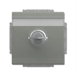 Busch-Jaeger Steckdoseneinsatz 20 EUKNBSL-803-101 graumetallisch
