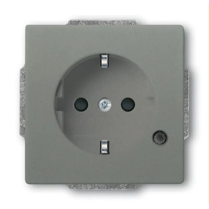 Busch-Jaeger SCHUKO-Steckdoseneinsatz 20 EUCBL-803 graumetallisch