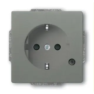 Busch-Jaeger SCHUKO-Steckdoseneinsatz 20 EUCBL-803 graumetallisch