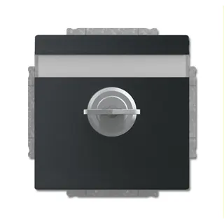Busch-Jaeger Steckdoseneinsatz 20 EUKNBSL-885-101 schwarz matt