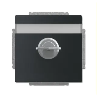 Busch-Jaeger Steckdoseneinsatz 20 EUKNBSL-885 schwarz matt