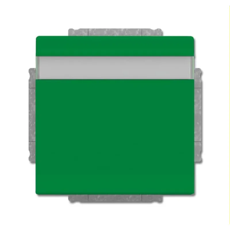Busch-Jaeger Steckdoseneinsatz 20 EUKNB-13-82 grün RAL 6032