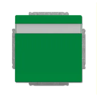 Busch-Jaeger Steckdoseneinsatz 20 EUKNB-13-82 grün RAL 6032