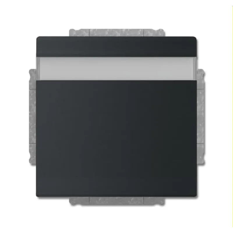 Busch-Jaeger Steckdoseneinsatz 20 EUKNB-885 schwarz matt