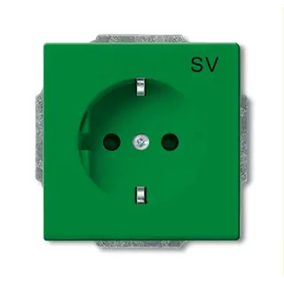 Busch-Jaeger Steckdoseneinsatz 20 EUCB-13-82-102 grün RAL 6032