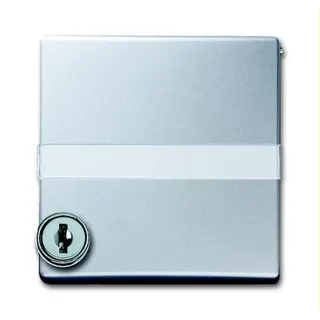 Busch-Jaeger Zwischenring 2118 GKSLN-33 AW44 aluminiumsilber